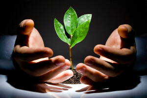 floor, green, hands, hope, leaves, light