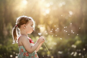 diente de león, niña, verano