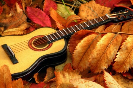 guitar, leaves, Music