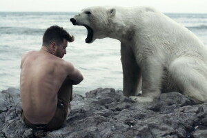 Urso, cara, a situação