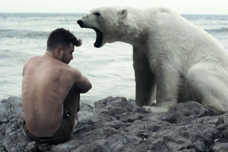 orso, tipo, la situazione