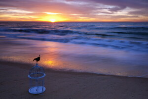 cell, landscape, sea, sunset