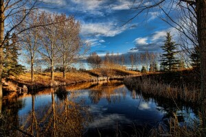 BEAUTY, clouds, landscape, nature, the sky, trees