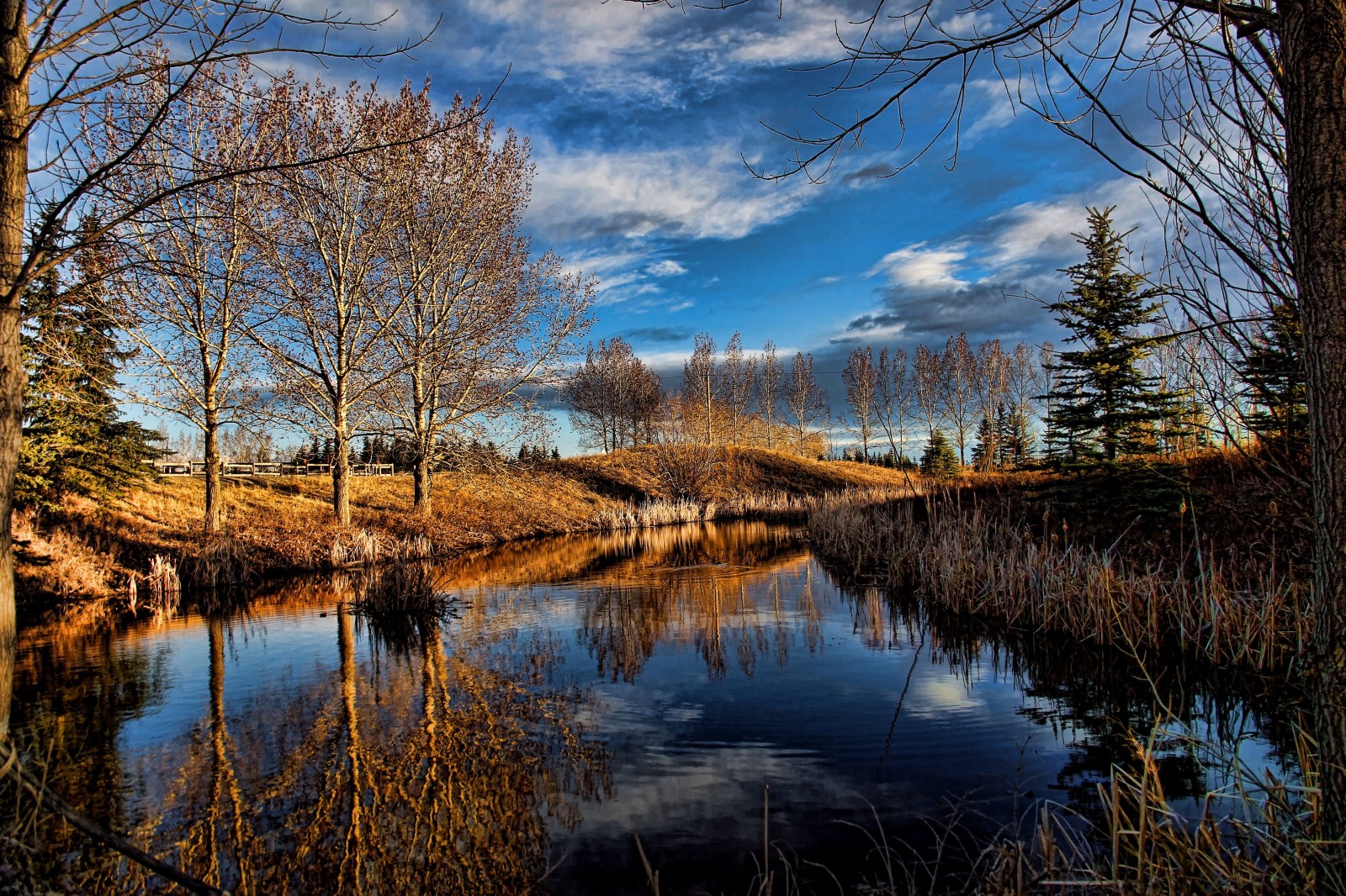 natur, himmelen, SKJØNNHET, landskap, trær, skyer