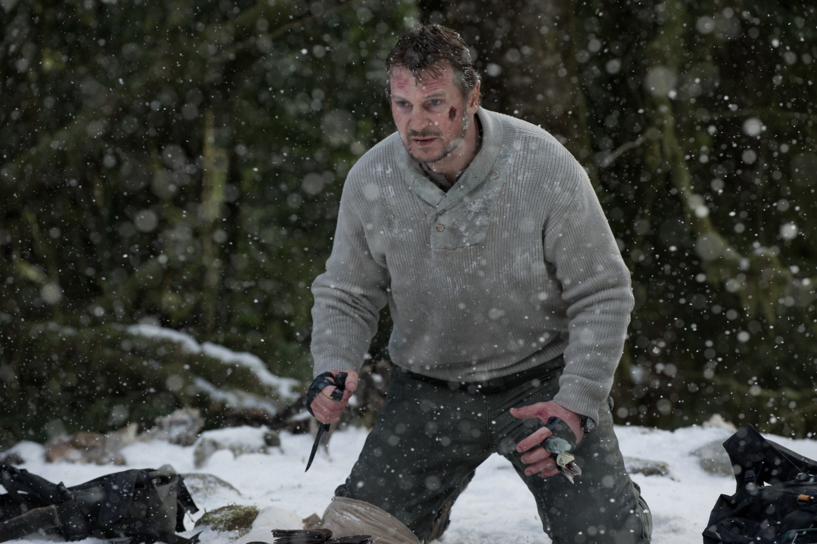 Schnee, Wald, Rahmen, Winter, Messer, Kampf, Liam Neeson, Der graue