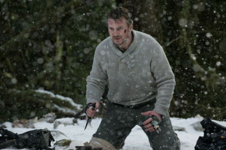 Bats toi, forêt, Cadre, couteau, Liam Neeson, neige, Le gris, hiver