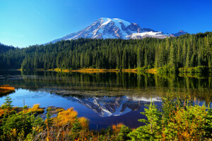 autunno, foresta, lago, Parco nazionale del Monte Rainier, montagne, riflessione, alberi, acqua