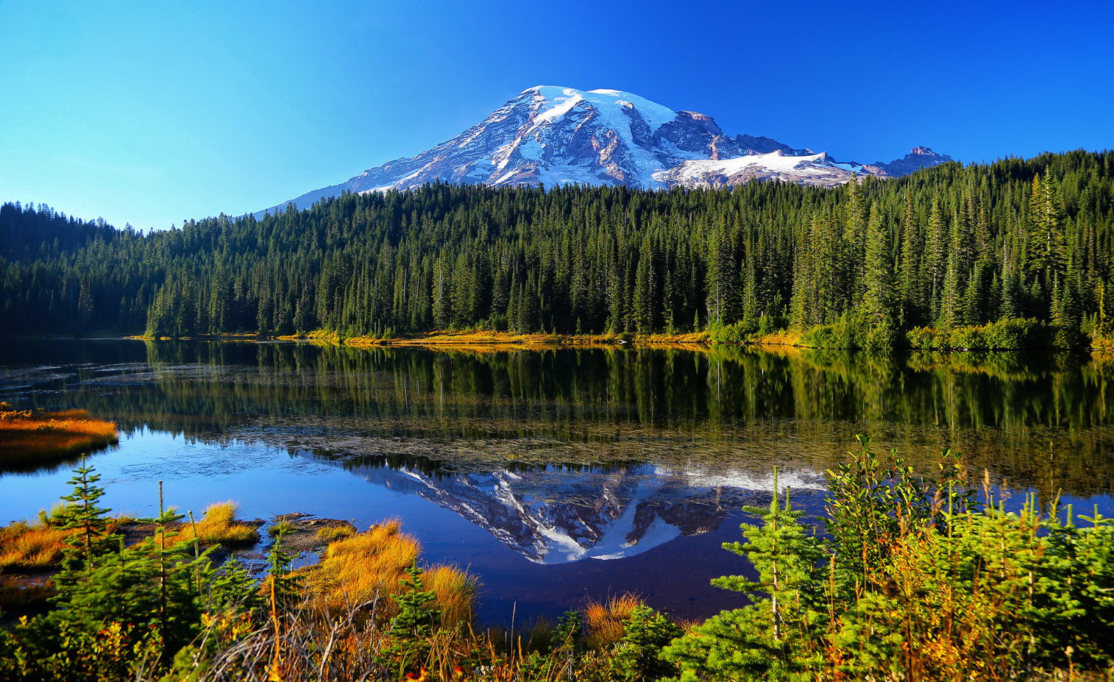 autumn, forest, lake, reflection, trees, mountains, water, Mount Rainier National Park