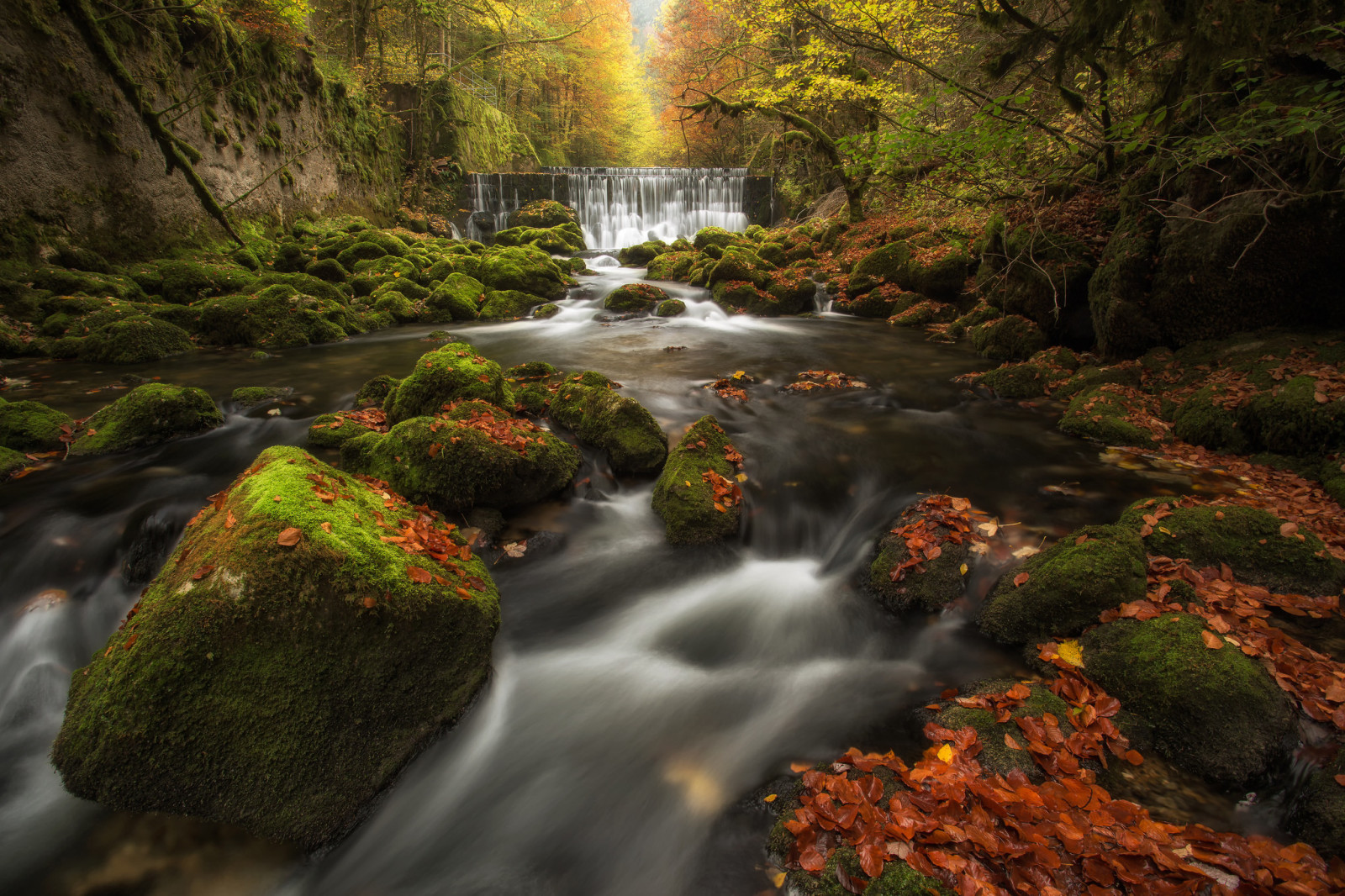 autumn, forest, river, Switzerland, stones, waterfall, leaves, moss