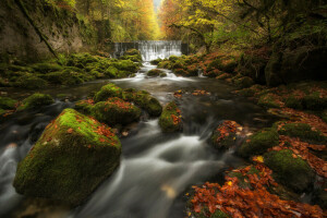 Areuse Gorge, ősz, vízesés, erdő, levelek, moha, folyó, kövek