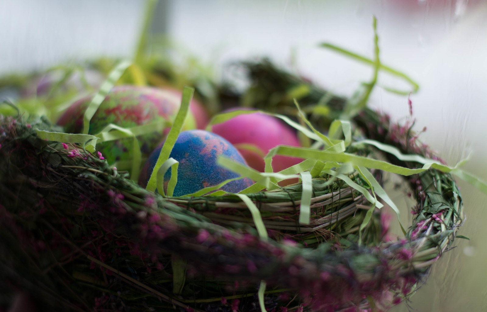 Urlaub, Eier, Korb, Ostern