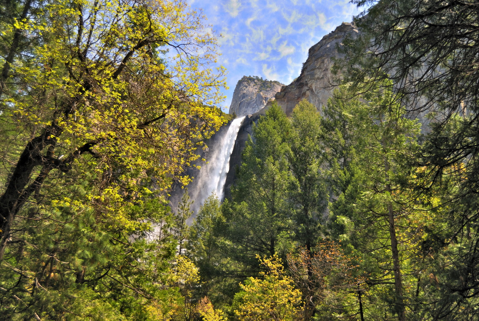 copaci, cascadă, munţi, Statele Unite ale Americii, roci, CA, Parcul Național Yosemite, Căderea Bridalveil