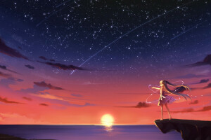 anime, art, clouds, girl, hatsune miku, kyuri, seagulls, stars