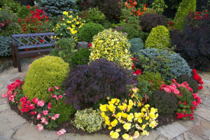 begonias, bench, colorful, flowerbed, flowers, Garden, the bushes, track