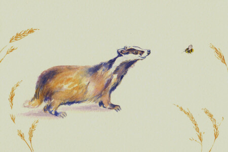 Badger, Bee, face, watercolor