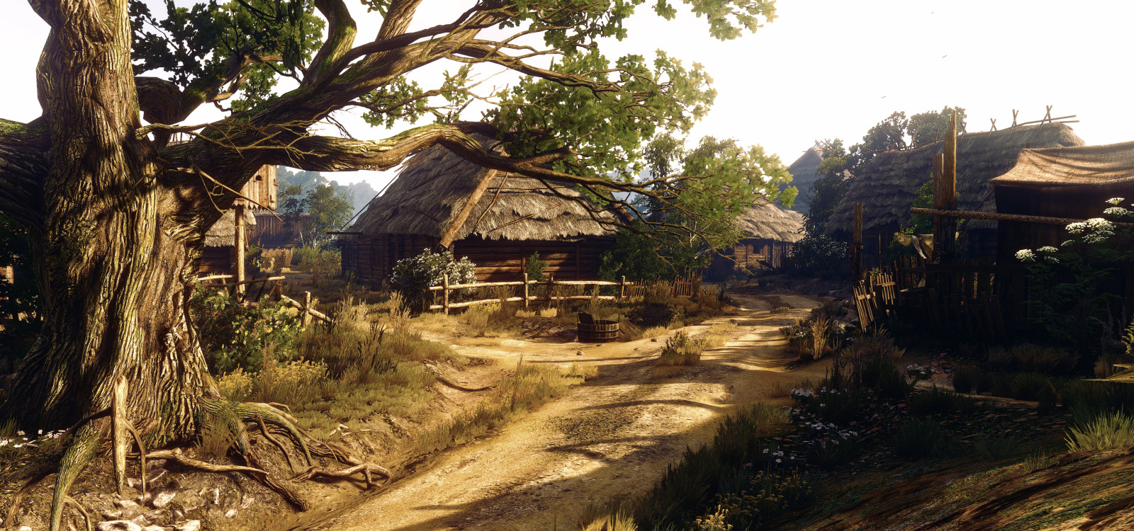 village, Witcher-3, Petit village