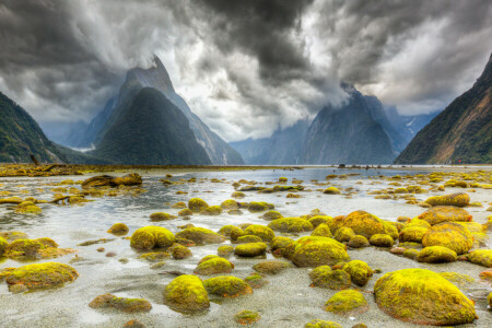 nuvole, Milford Sound, montagne, muco, Nuova Zelanda, Isola del sud, pietre, Il parco nazionale Fiordland