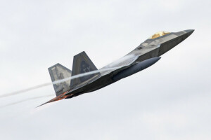 F-22 Raptor, Fighter, Multipurpose, diskret