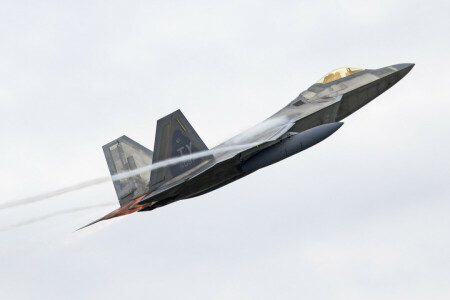 F-22 Raptor, Μαχητής, Πολλαπλών χρήσεων, ταπεινός