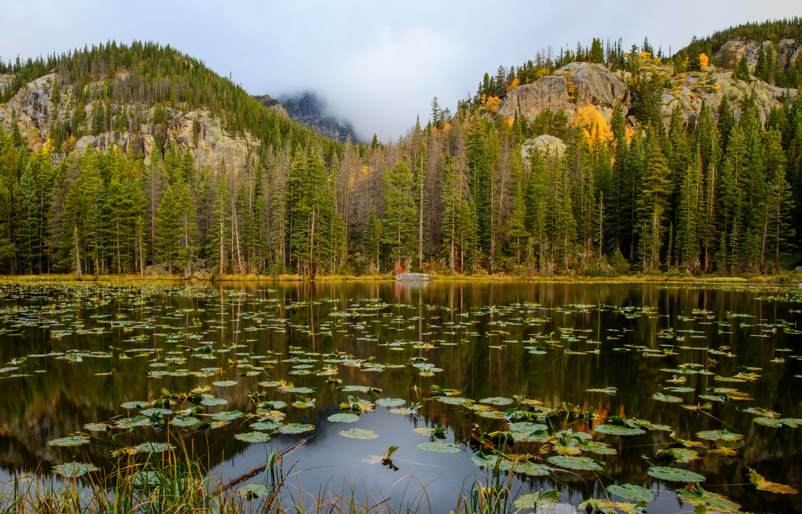 skog, innsjø, fjellene, USA, bergarter, Rocky Mountain nasjonalpark, Nymph Lake