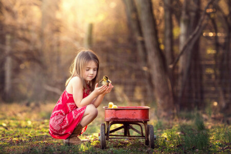 chickens, ducklings, girl, spring