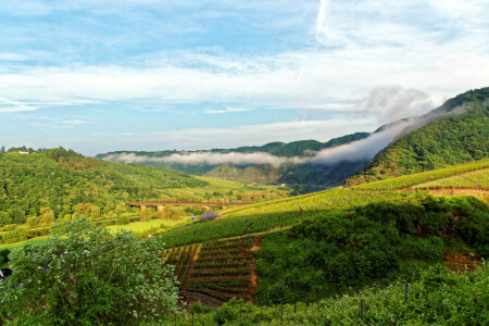 Puente, Ediger-Eller, campo, Alemania, montañas, plantación, río