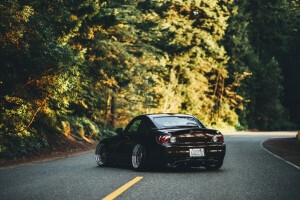 espalda, Honda, la carretera, s2000, el sol, arboles