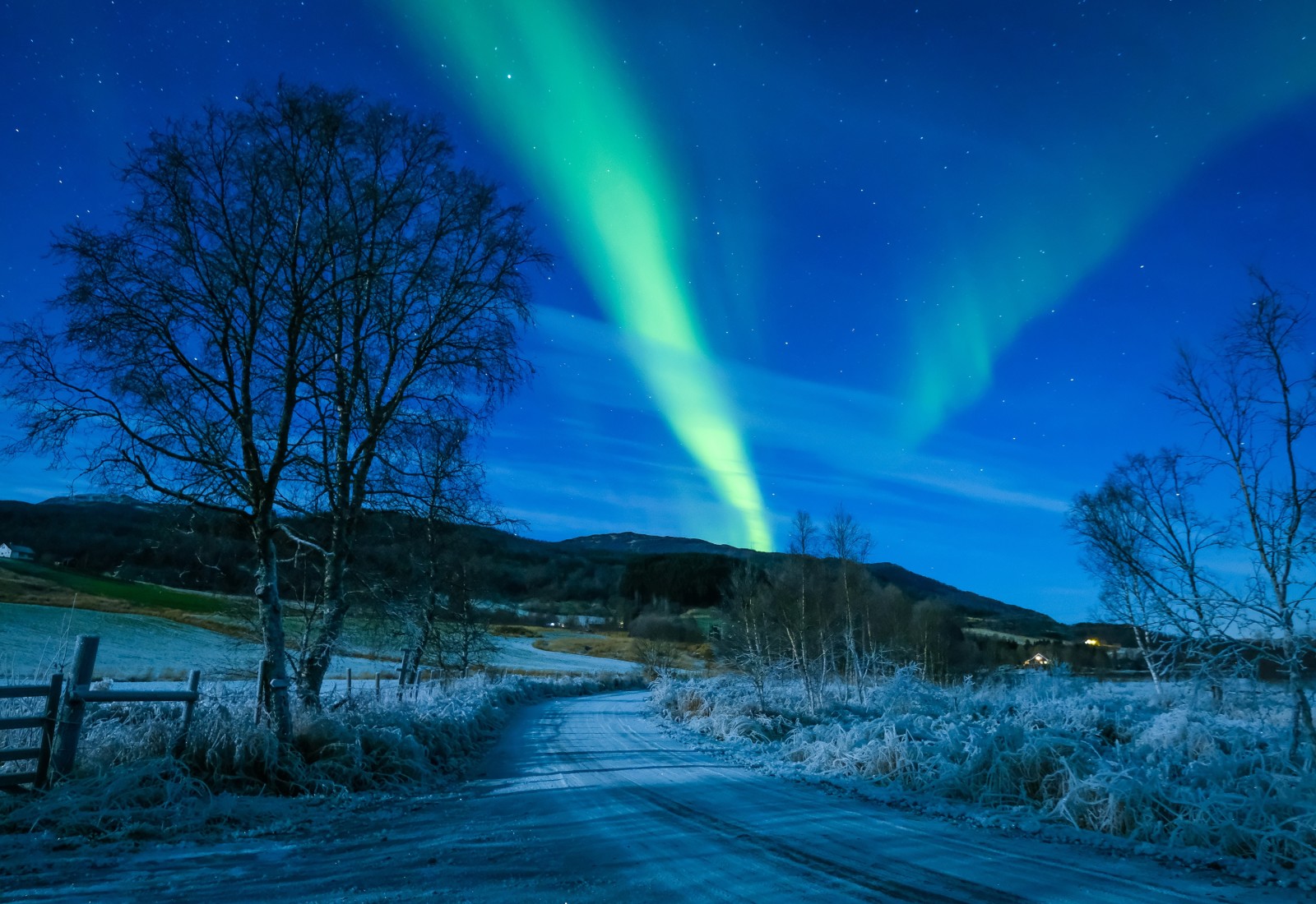 il cielo, inverno, strada, alberi, Norvegia, Aurora boreale, Troms, Koford