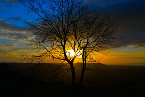 wolken, bergen, natuur, zonsondergang, de lucht, de zon, boom