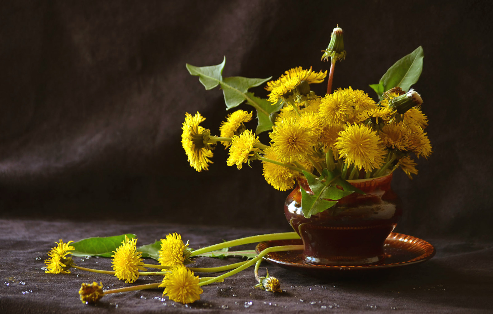 PAARDEBLOEMEN, geel, boeket