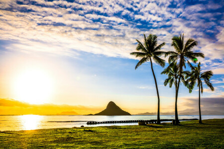 nuvole, costa, alba, Hawaii, palme, mare, il cielo, Tropici