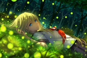 anime, art, fireflies, girl, nature, schoolgirl, smile, Tidsean