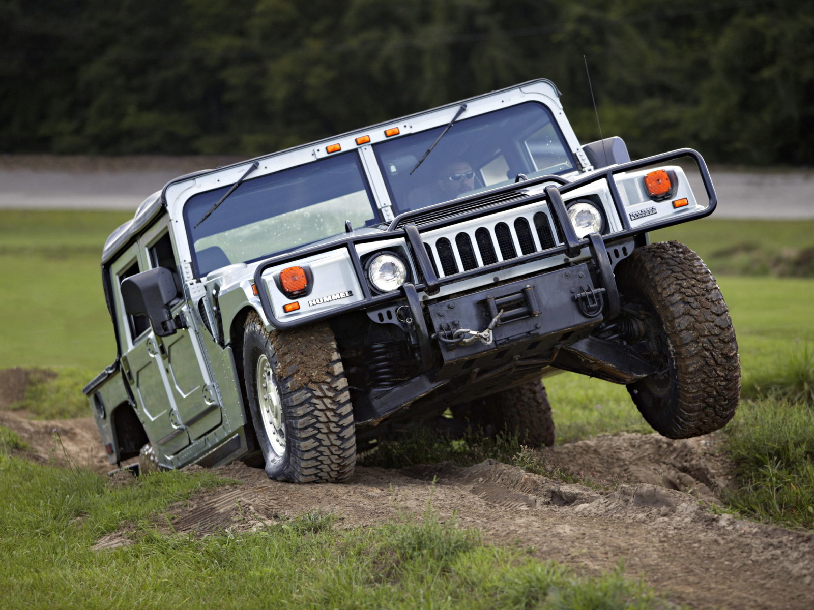 forêt, herbe, SUV, marteau, colline, quatre roues motrices, Hummer