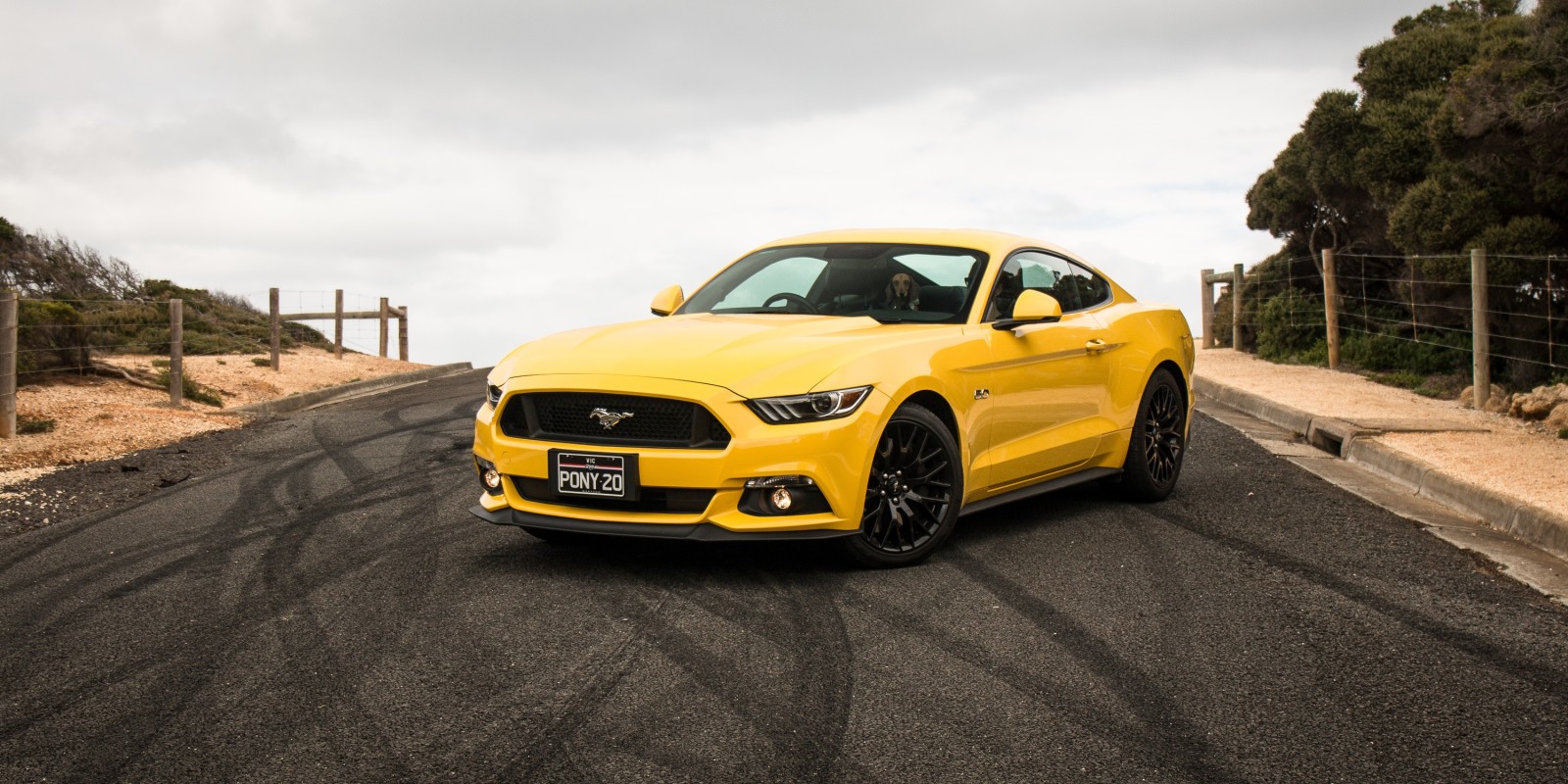 Gelb, Mustang, Ford