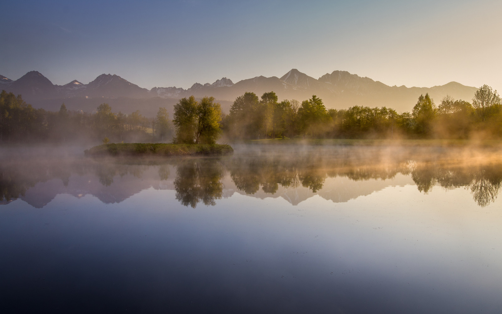 skog, innsjø, trær, morgen, fjellene, tåke