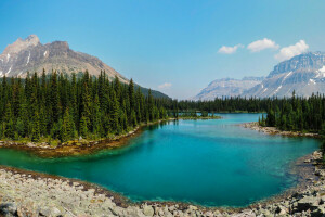 Canada, forest, lake, mountains, stones, trees, Yoho National Park