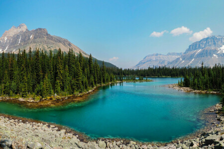 Canada, pădure, lac, munţi, pietre, copaci, Parcul Național Yoho