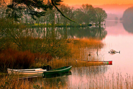 opstuwing, boten, rivier-, zonsondergang, de lucht, bomen