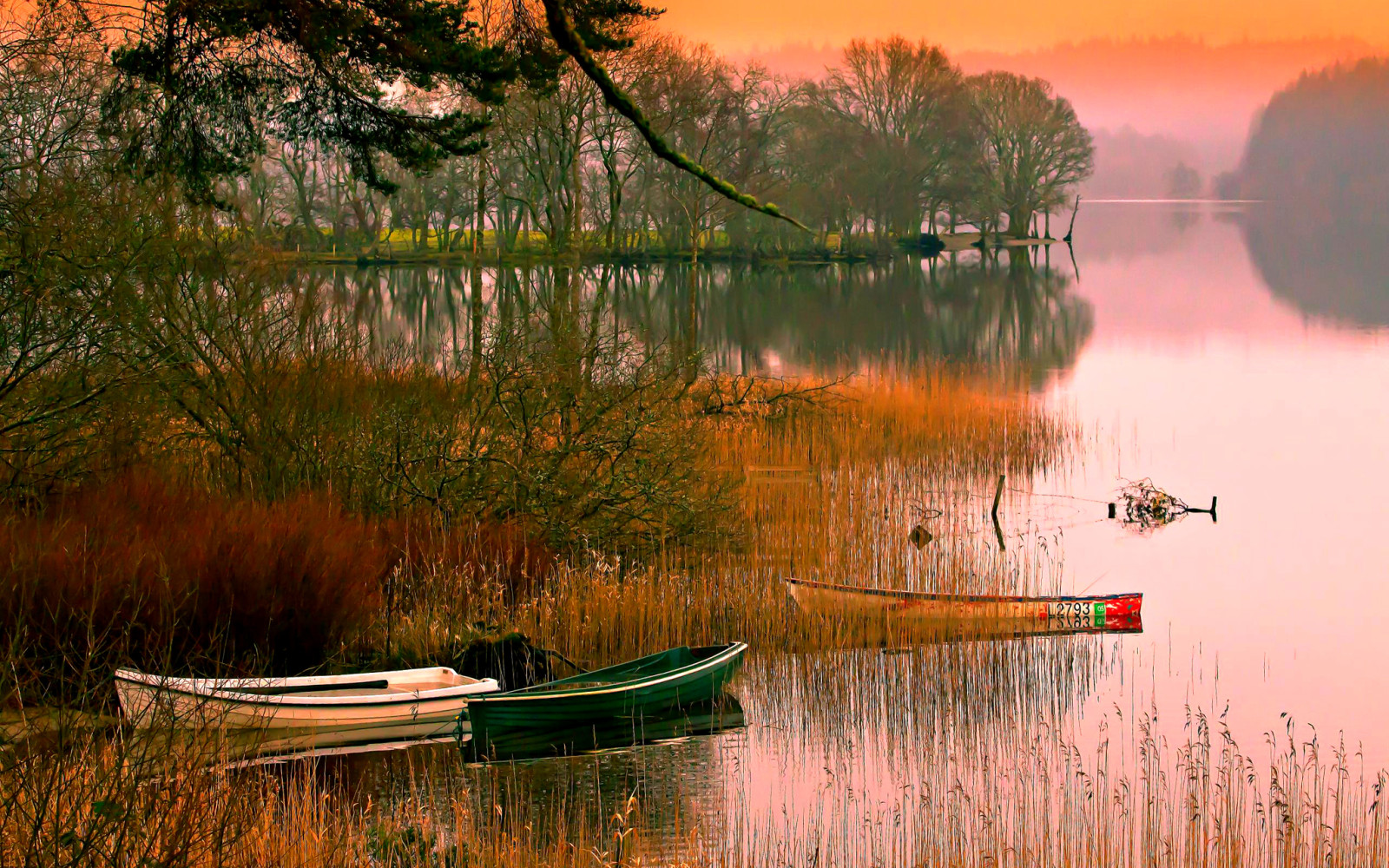 el cielo, río, puesta de sol, arboles, barcos, remanso