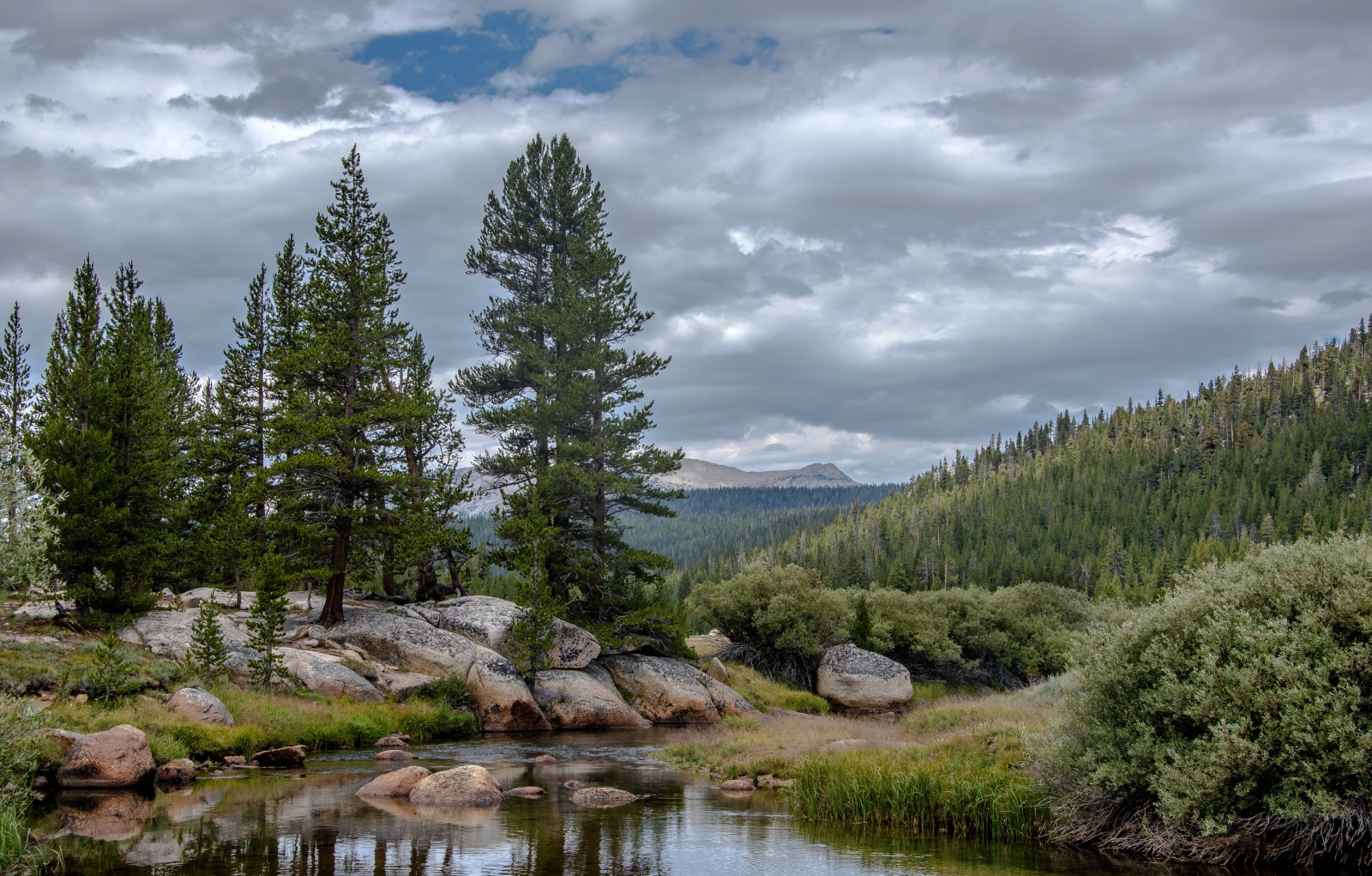 Wald, Steine, Bäume, Wolken, Berge, USA, Strom, Kalifornien