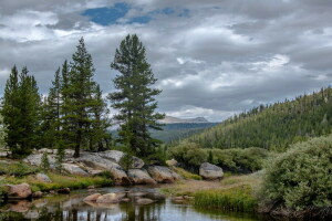 California, California, nubes, bosque, montañas, piedras, corriente, arboles