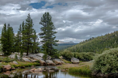 CA, Californië, wolken, Woud, bergen, stenen, stroom, bomen