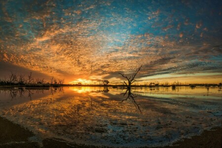 Austrália, Pântano de Campbell, Lake Wyangan, panorama, natureza, rio, pôr do sol