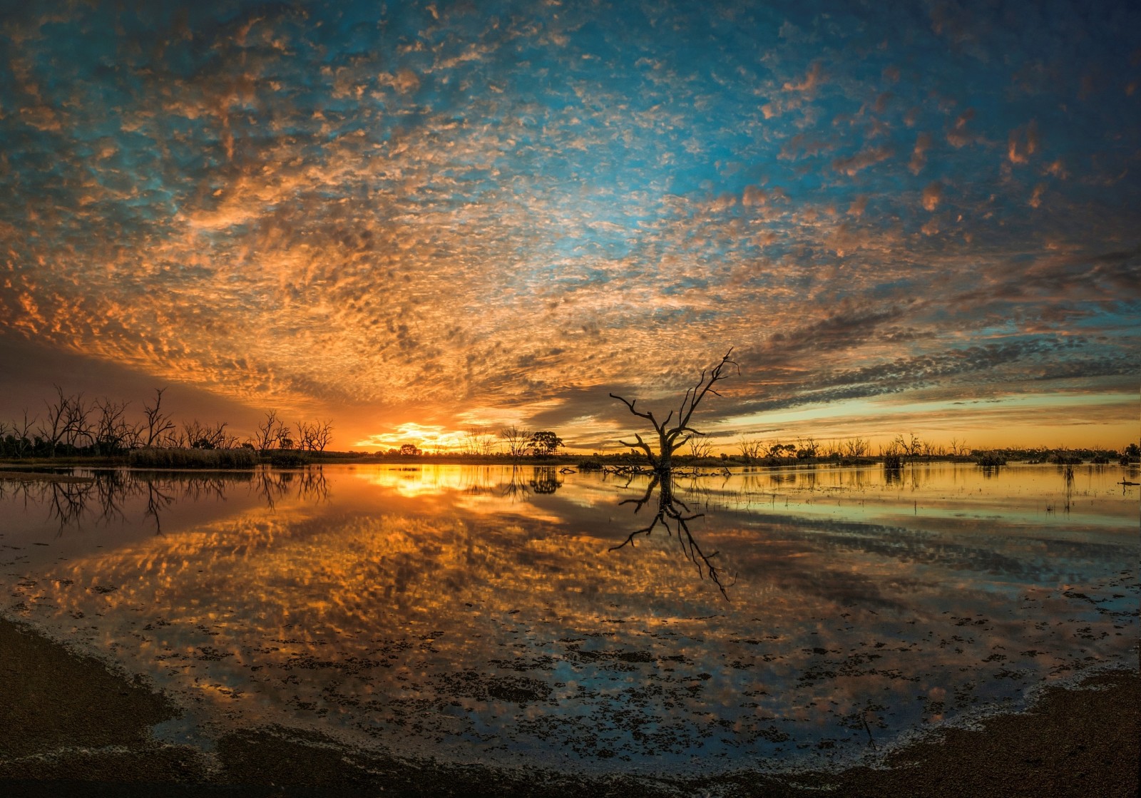 natuur, rivier-, zonsondergang, landschap, Australië, Campbell's moeras, Lake Wyangan