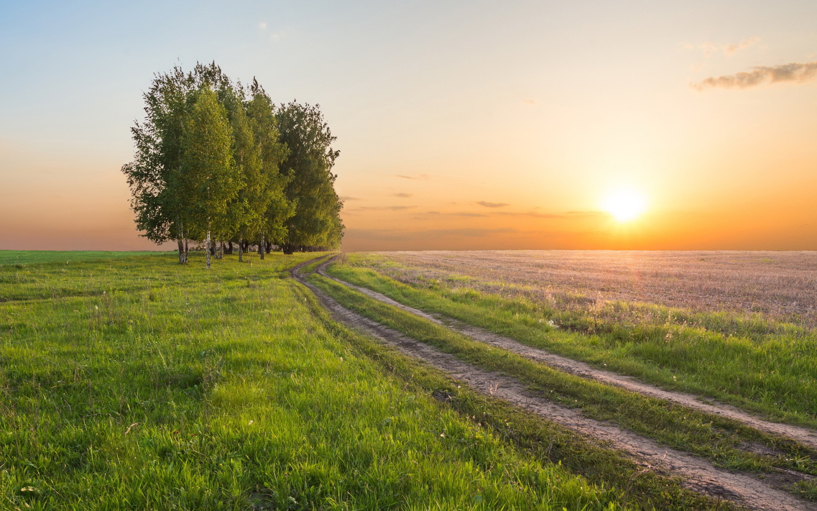 zonsondergang, bomen, veld-