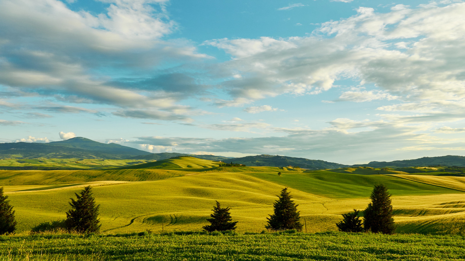 césped, el cielo, arboles, verduras, campo, nubes, Italia, colinas