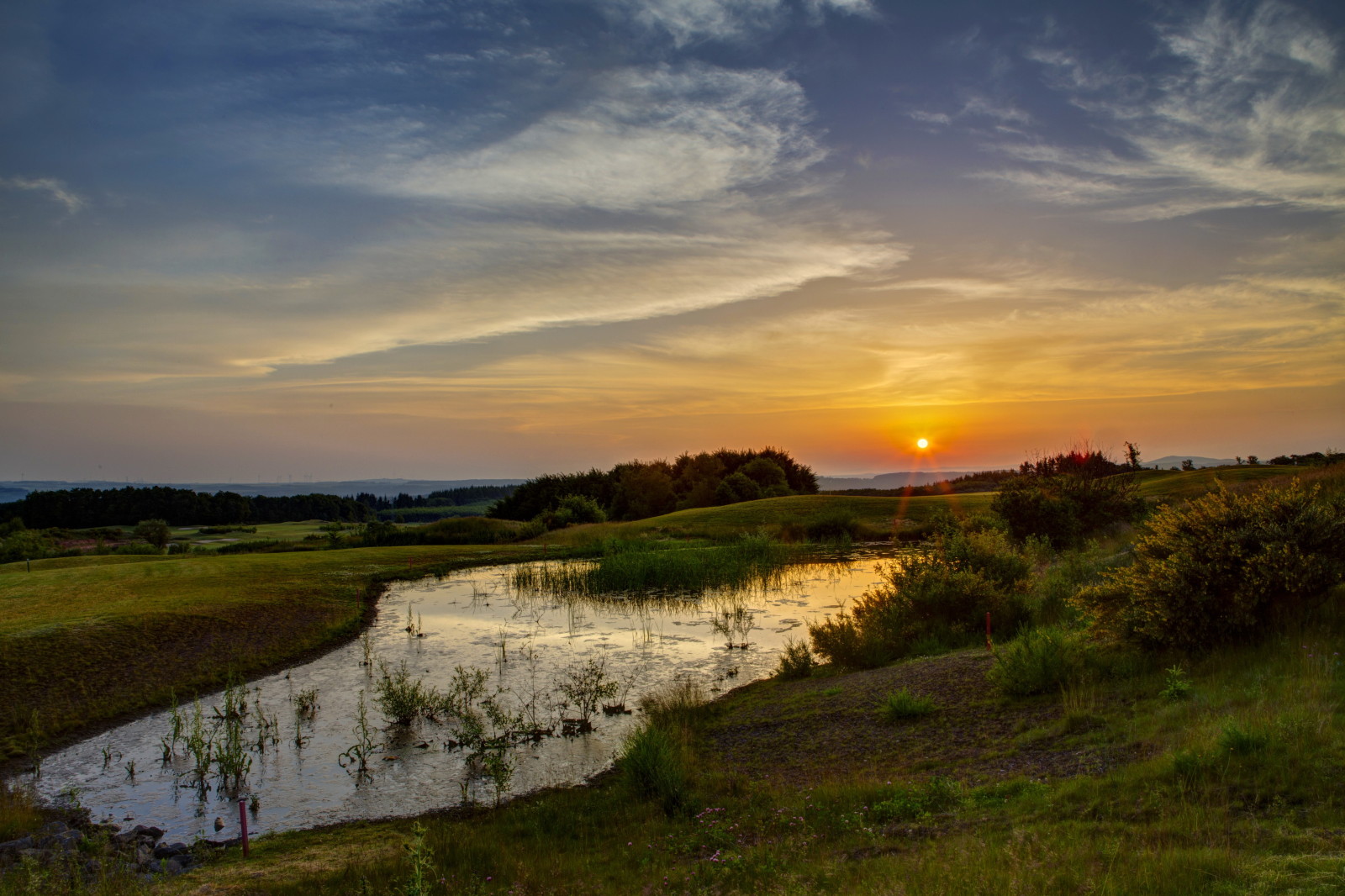 græs, natur, himlen, solnedgang, træer, stråler, vand, solen