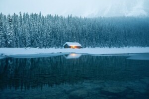 forêt, maison, la nature, l'eau, hiver