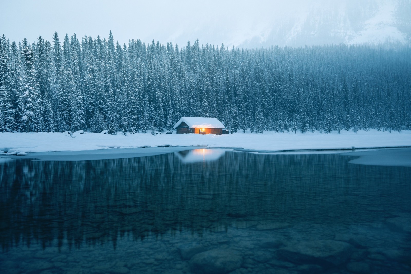 bosque, naturaleza, casa, invierno, agua