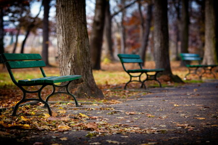 steeg, herfst, bank, bladeren, Park, bomen